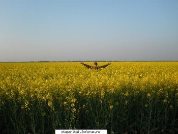 ok_50917.jpg