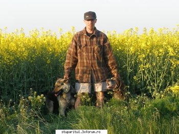 ok_50918.jpg