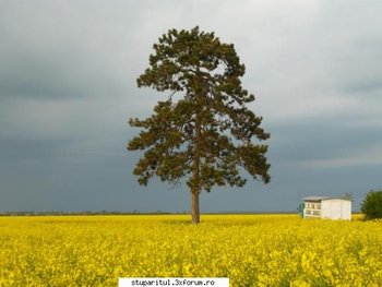 ok_61256.jpg