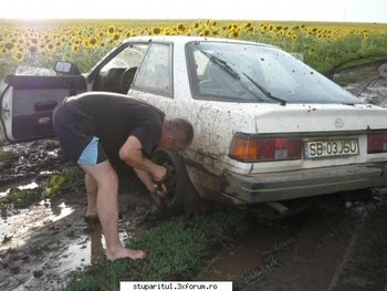 ok_61260.jpg