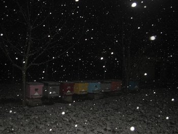 IMG_0862 (Medium).JPG