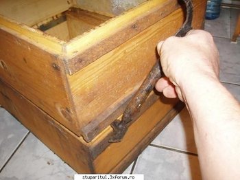 ok_67317.jpg