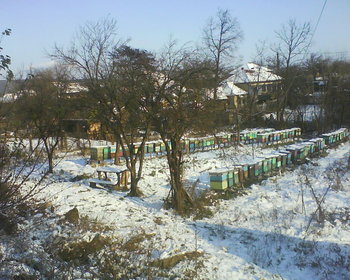7febr.ZBOR_TURTA_ 018.jpg