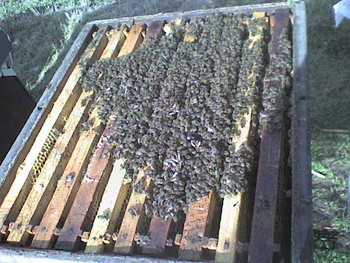 FEBR.2009 019.jpg
