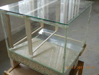 rsz_dscn2366.jpg