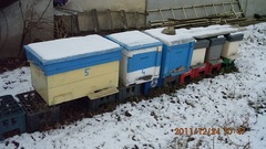 IMG_0060.jpg
