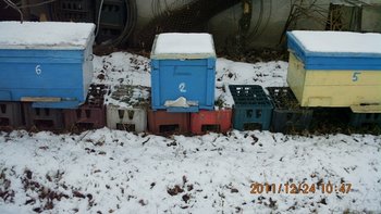 IMG_0062.jpg