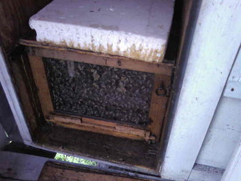 SP_A5063.jpg
