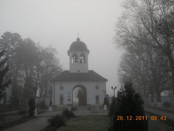 rsz_dscn2375.jpg