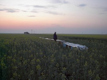 meheszet 006 (500x375).jpg