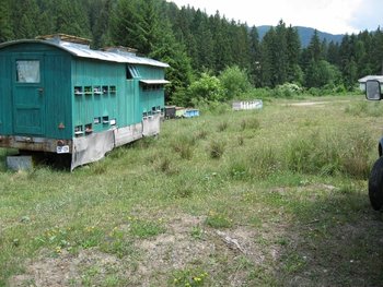 IMG_0200 (500x375).jpg
