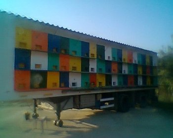 Fotogr.0037.jpg