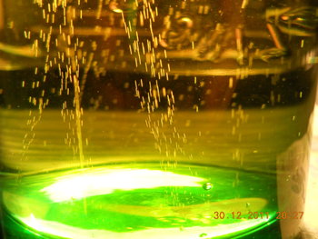 rsz_1dscn2438.jpg