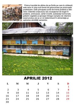 rsz_aprilie_2012_jpeg.jpg