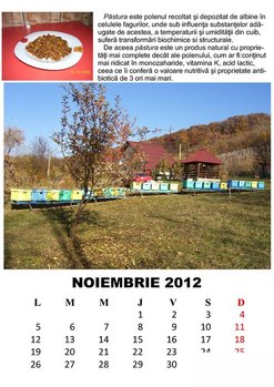 rsz_noiembrie_2012_jpeg.jpg