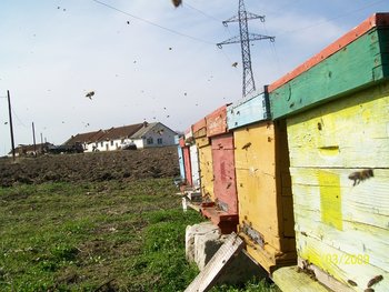 100_2434.jpg