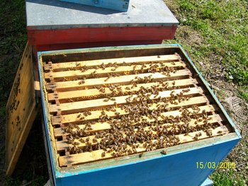 100_2368.jpg
