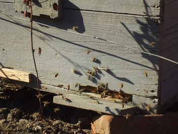 DSCF5667.JPG