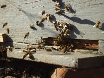 DSCF5663.JPG