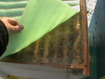 20120102-151941.JPG