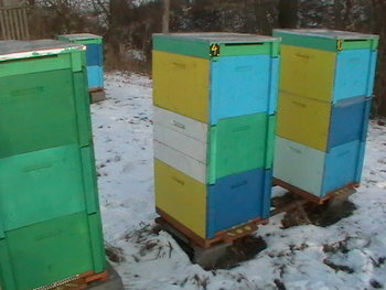 20120102-152610.JPG