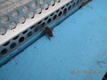 rsz_dscn2472.jpg