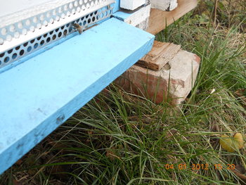rsz_2dscn2471.jpg
