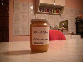 PIC_0062 (Medium).JPG