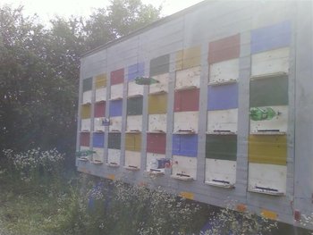 Fotografii-0031 (Medium).jpg
