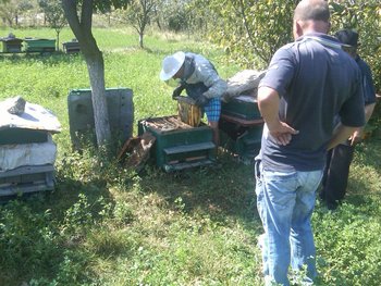 IMG00429-20110901-1351.jpg