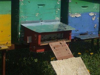 DSCF0878 (Medium).JPG