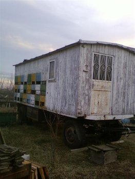 Fotografii-0337 (Medium).jpg