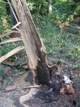 DSCF1721 (Medium).JPG
