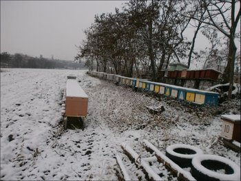 12.JPG