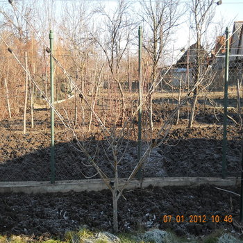 rsz_8dscn2483.jpg