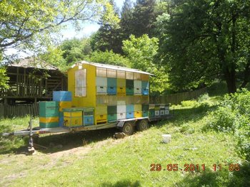 salcam2  2011 001 (1024 x 768) (768 x 576).jpg