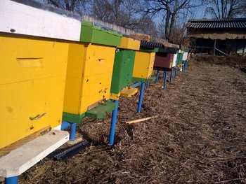 rsz_img-20120103-00089.jpg
