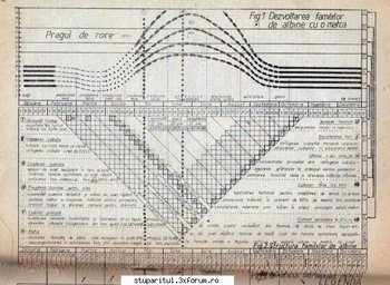 Diagrama de dezvoltare a familiilor de albine.jpg