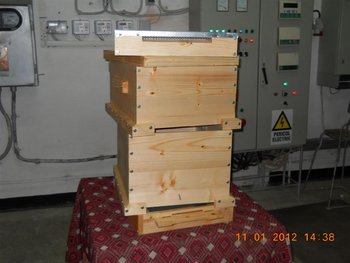 Picture 021 (Medium).jpg