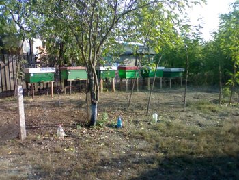 301020111151.jpg