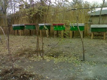 131120111156.jpg