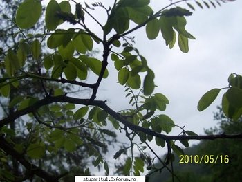ok_106828.jpg (48.42 KiB) Vizualizat de 4264 ori ok_106828.jpg