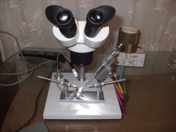 DSCF5669.JPG