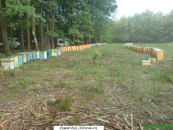 ok_119039.jpg
