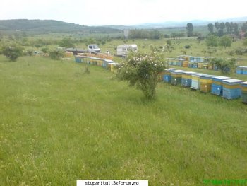ok_119041.jpg