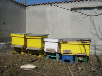 10 martie 2011.6.JPG