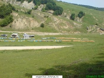 ok_119044.jpg