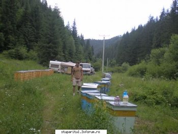 ok_119057.jpg