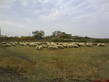 DSC02058.JPG