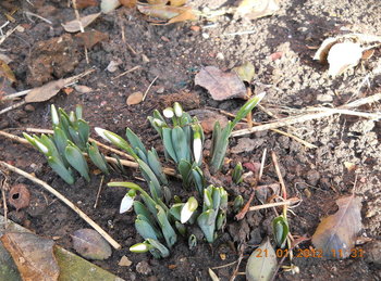 rsz_2dscn2523.jpg